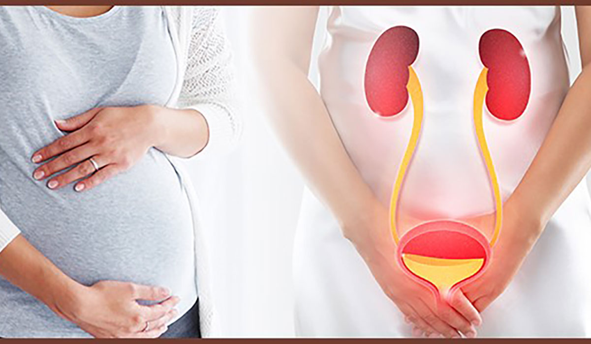 عفونت ادراری در زنان و بارداری 