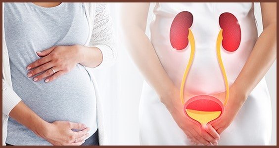 عفونت ادراری و بارداری