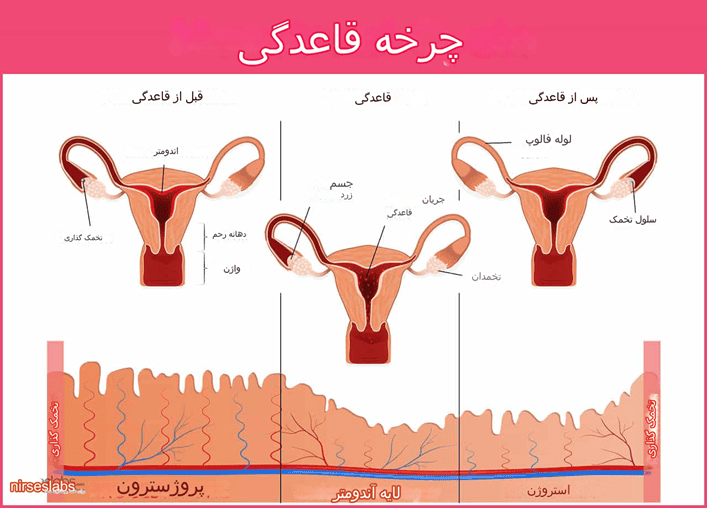 کی پریودم شروع میشه