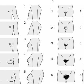 تغییرات پستان و پوست